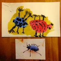 Beetle Detail: Observational Drawing (Autumn 2010)