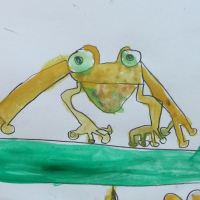 Tropical Tree Frogs: Observational Drawing (May 2013)